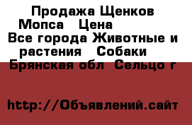 Продажа Щенков Мопса › Цена ­ 18 000 - Все города Животные и растения » Собаки   . Брянская обл.,Сельцо г.